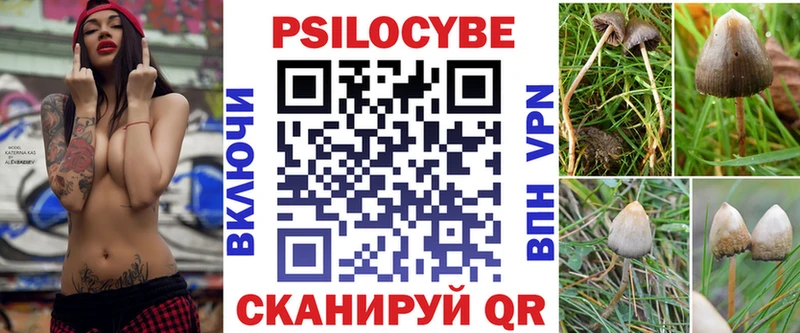 Галлюциногенные грибы прущие грибы  Курганинск 